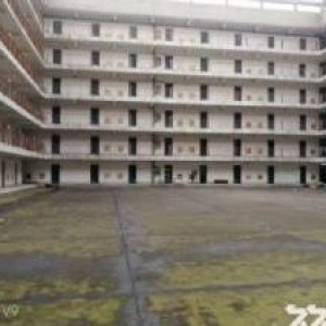 新区旺庄9900平标准厂房出租 C栋出租