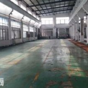 新区旺庄新梅路附近独栋2200平方标准厂房出租