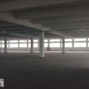 新区旺庄新华路附近园区独栋20000㎡厂房出租