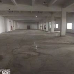 五楼1400平带环氧地坪，带精装修办公室，三吨货梯，电子组装