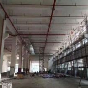 新区旺庄23000平单层标准厂房 设施齐全 价格优惠