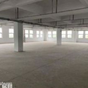 出租 新安工业用地厂房  