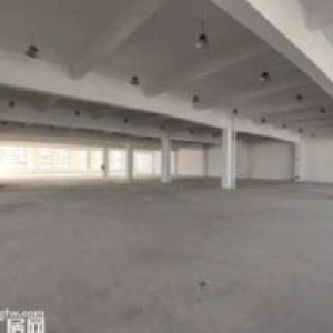 轻工厂房2000平方出租有电梯有独立办公区域