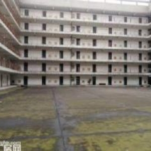 新区旺庄11000平标准厂房出租 B栋出租