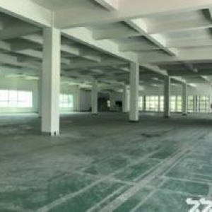 出租新区旺庄花园式独栋双层厂房4000平 环境一