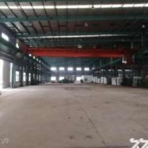 新区旺庄20000平单层标准机械厂房 独门独院 适合的行业居