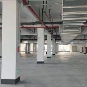 锡山区东港22000平米独栋全新厂房出租