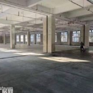 锡山区东港园区5000平多层厂房出租