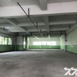 新区梅村6000平双层 花园式办公 