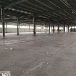 无锡东港800平一楼标准厂房招租