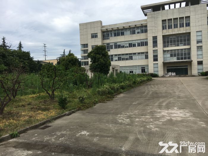新区旺庄新华路独门独院独院9200㎡厂房出租-图4