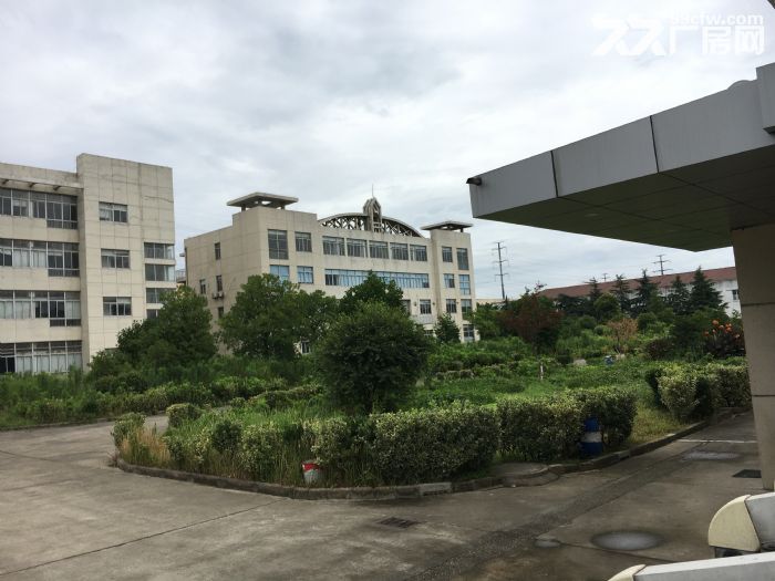 新区旺庄新华路独门独院独院9200㎡厂房出租-图5