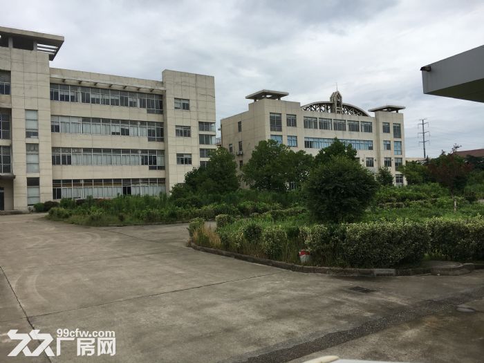 新区旺庄新华路独门独院独院9200㎡厂房出租-图2