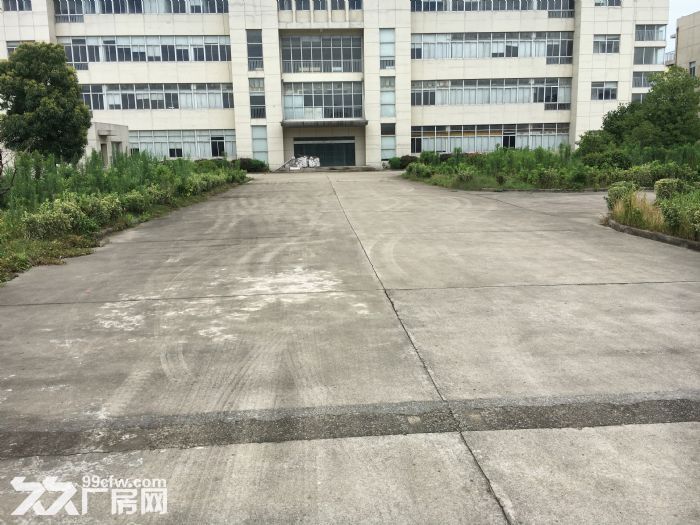 新区旺庄新华路独门独院独院9200㎡厂房出租-图3