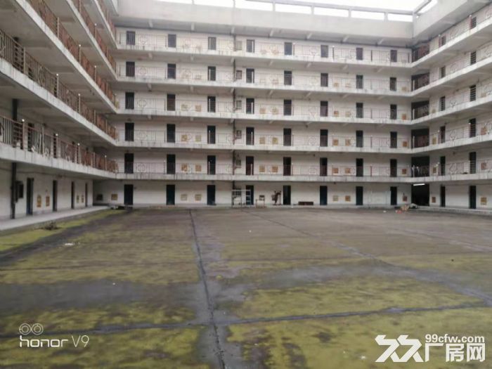 新区旺庄9900平标准厂房出租 C栋出租