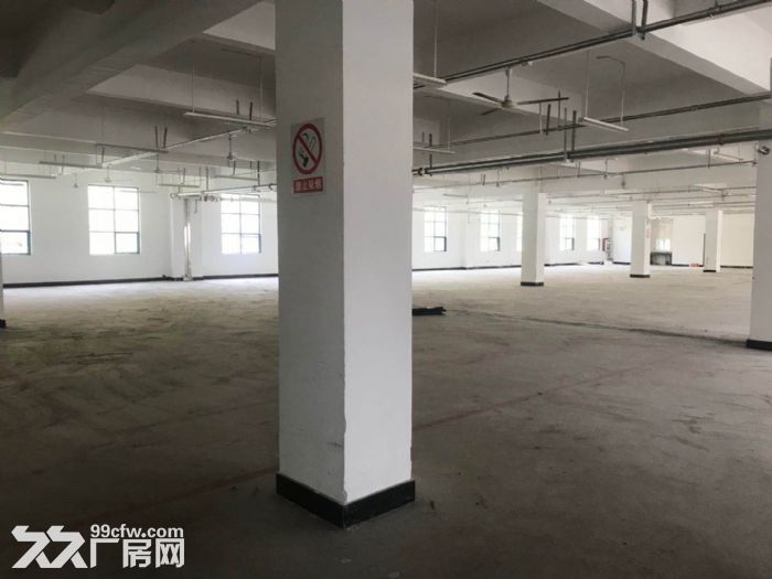 新区旺庄7700平厂房出租 丙二类消防 形象好 可分租-图2