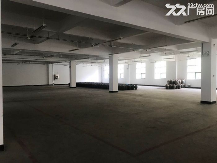 新区旺庄7700平厂房出租 丙二类消防 形象好 可分租-图3