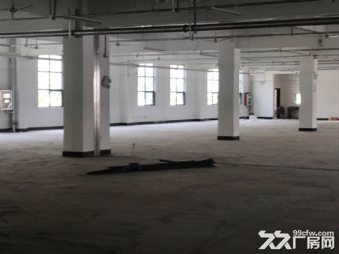 新区旺庄7700平厂房出租 丙二类消防 形象好 可分租-图5
