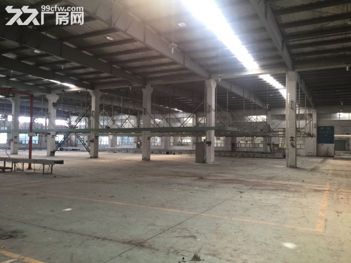 新区新华路与G312国道附近4000平厂房出租-图2