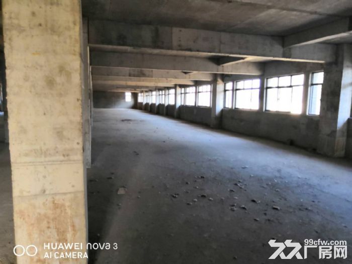 新区硕放振发路附近6000平独栋厂房出租-图4