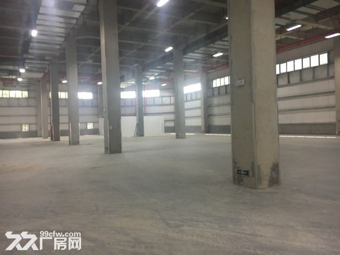新区梅村高浪路独门独院3000㎡厂房整体出租-图2