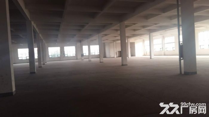 新区硕放薛典路附近8000平方双层厂房出租-图2