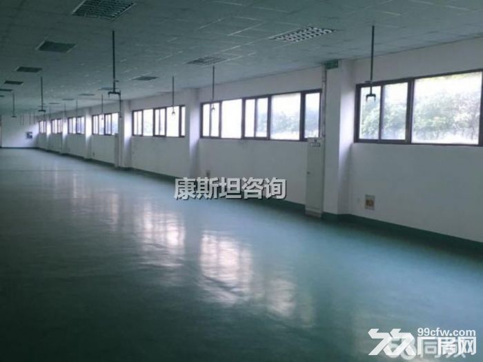旺庄1200平厂房 可做电子精密加工 仓库等 有环氧地平-图3