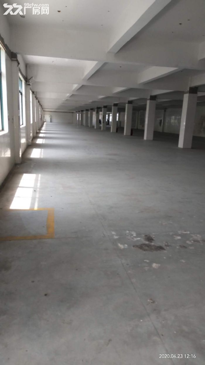 东北塘一楼900平，另有冷库出租700-图3
