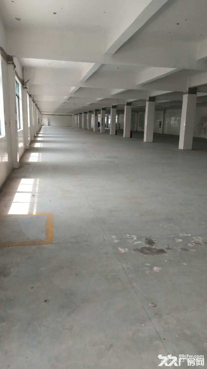 东北塘一楼900平，另有冷库出租700-图4