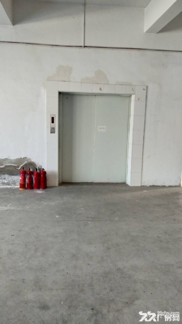 东北塘一楼900平，另有冷库出租700-图6