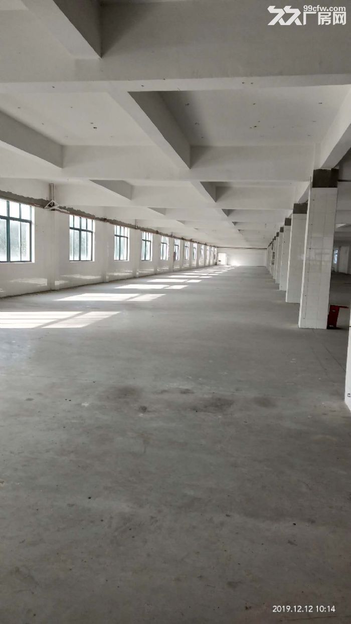 东北塘一楼900平，另有冷库出租700-图7