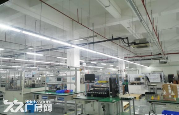 新区旺庄核心地段7300平独栋超洁净车间 对外出租 外企优先
