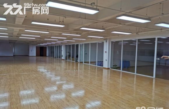 新区旺庄核心地段7300平独栋超洁净车间 对外出租 外企优先-图5