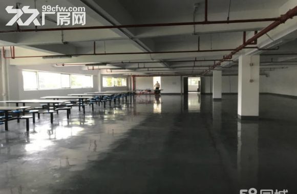 新区旺庄核心地段7300平独栋超洁净车间 对外出租 外企优先-图6