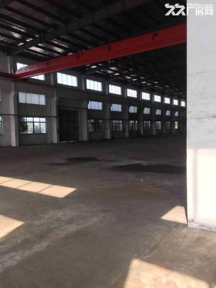 新区鸿山镇鸿运路32000㎡多层仓库出租-图3