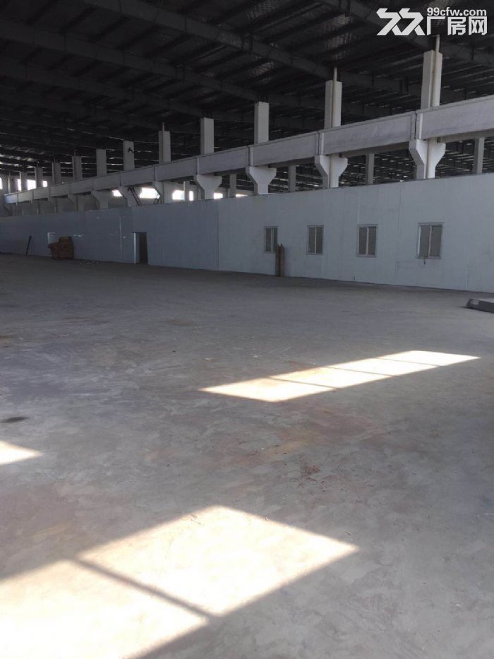 新区鸿山镇鸿运路32000㎡多层仓库出租-图5