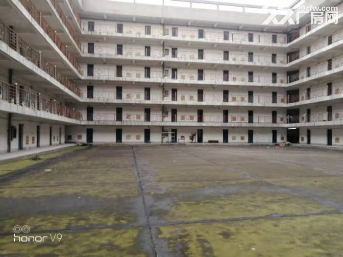 新区旺庄7000平厂房出租 A栋出租 位置好形象好