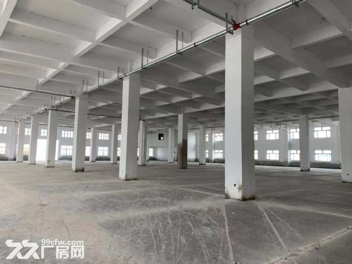 低价出租新吴区一手新厂房-图4