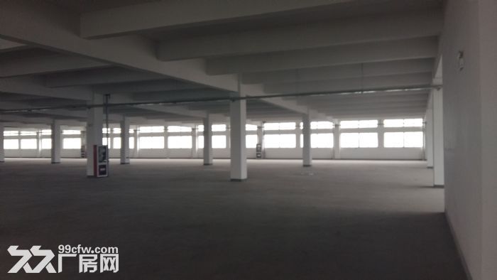 新区旺庄新华路附近园区独栋20000㎡厂房出租