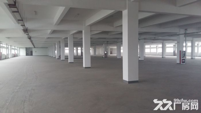 新区旺庄新华路附近园区独栋20000㎡厂房出租-图2