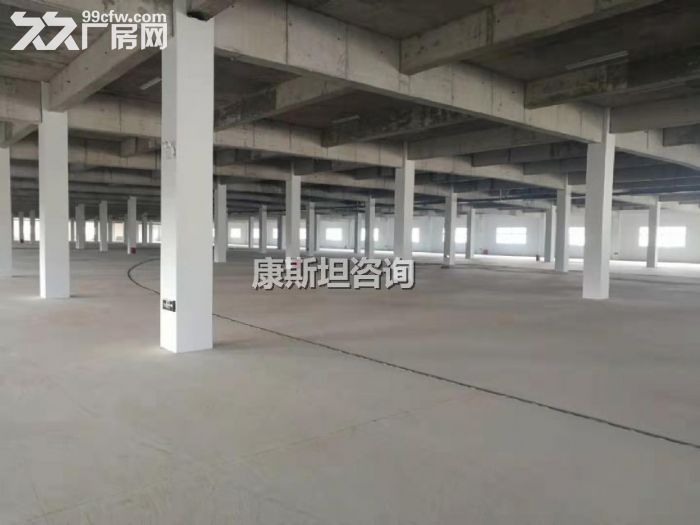 新区新出19000平双层机械出租 价格便宜 可分租