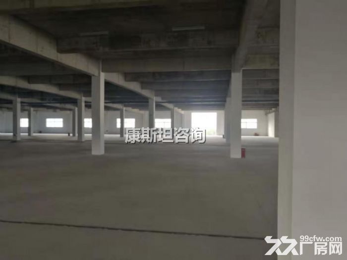 新区新出19000平双层机械出租 价格便宜 可分租-图4