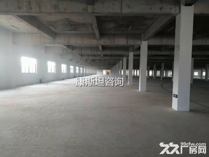 新区新出19000平双层机械出租 价格便宜 可分租-图3