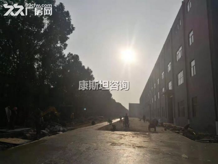 新区新出19000平双层机械出租 价格便宜 可分租-图6