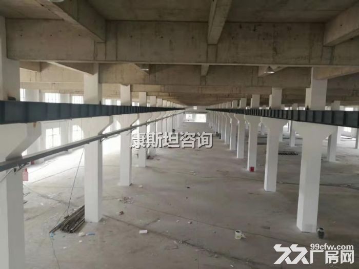 新区新出19000平双层机械出租 价格便宜 可分租-图7