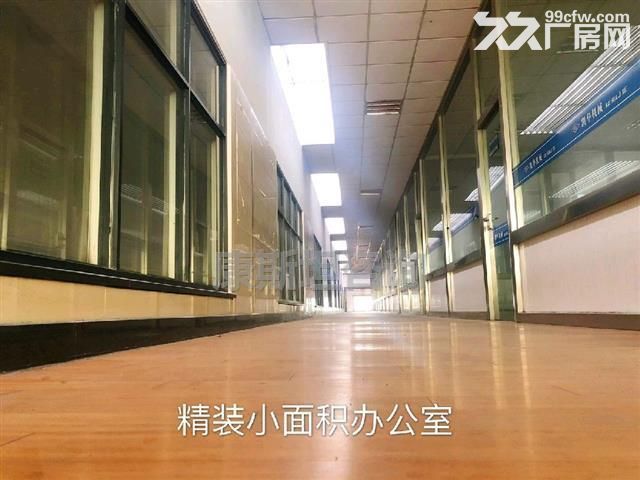 华士新出12000平 独门独院厂房 可分租-图3