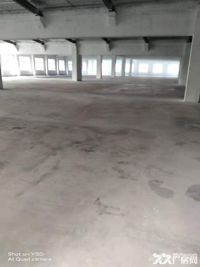 东湖塘独立厂房800或1700平可做木包装-图5