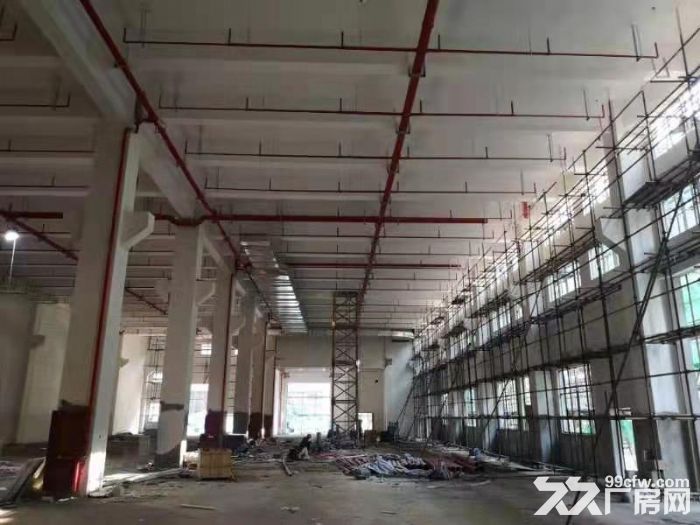 新区旺庄23000平单层标准厂房 设施齐全 价格优惠-图2