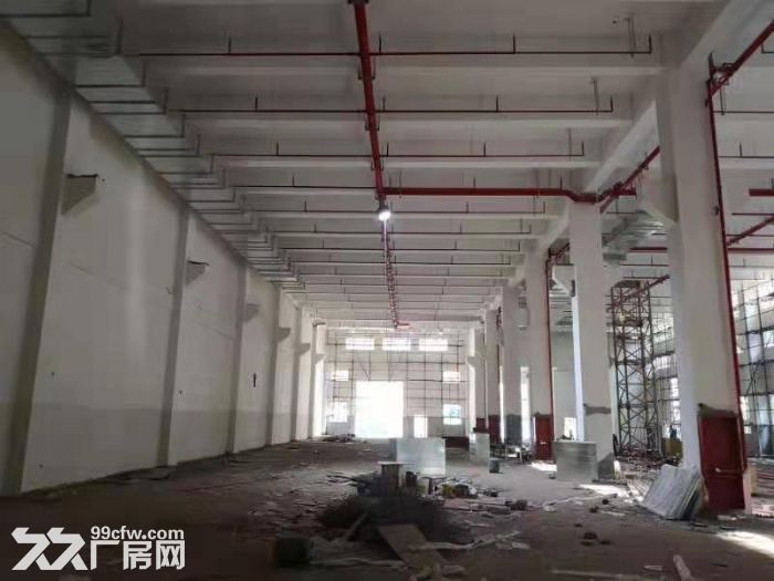 新区旺庄23000平单层标准厂房 设施齐全 价格优惠-图3
