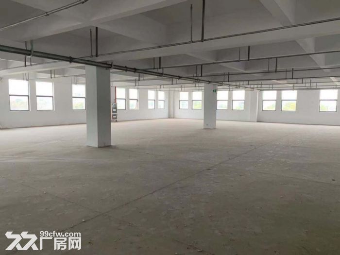 出租 新安工业用地厂房  丙类消防